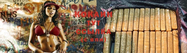дмт Богородицк