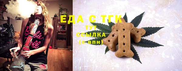 дмт Богородицк