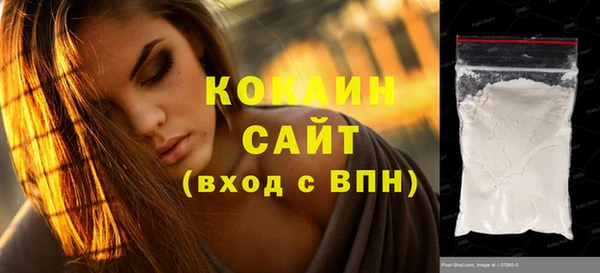 дмт Богородицк